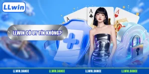 LLWIN có uy tín không